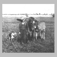080-0020 Fritz Vogel aus Pregelswalde mit Hund, Stute und Fohlen.jpg